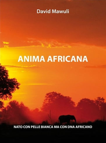 Anima Africana - David Mawuli