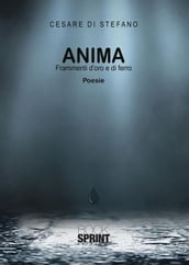 Anima - Frammenti d oro e di ferro