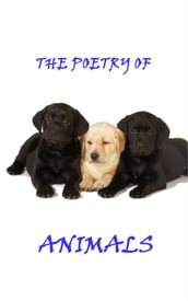 Animal Poetry