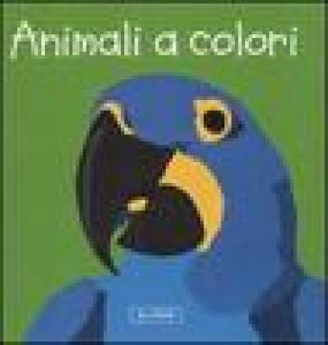 Animali a colori. Impara con gli animali - Sebastiano Ranchetti