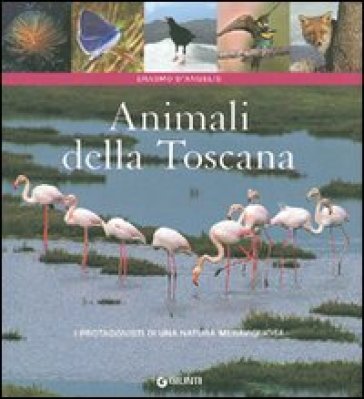 Animali della Toscana - Erasmo D