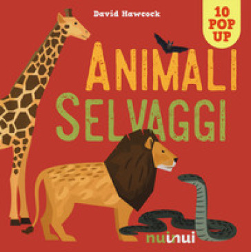 Animali selvaggi. Libro pop-up. Nuova ediz. - David Hawcock