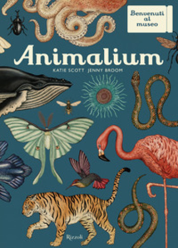 Animalium. Il grande museo degli animali. Ediz. illustrata - Katie Scott - Jenny Broom