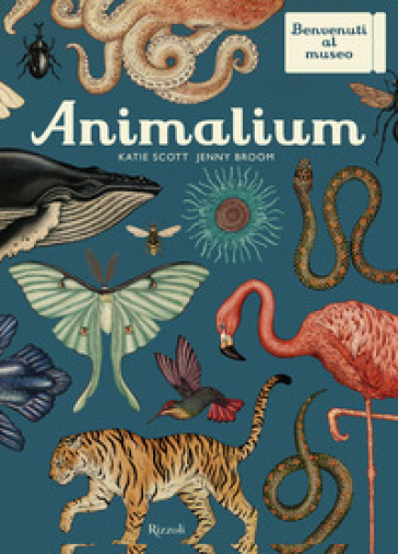 Animalium. Il grande museo degli animali - Katie Scott - Jenny Broom