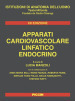 Apparati cardiovascolare linfatico endocrino