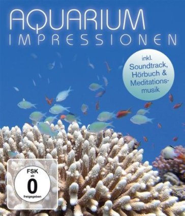 Aquarium impressions