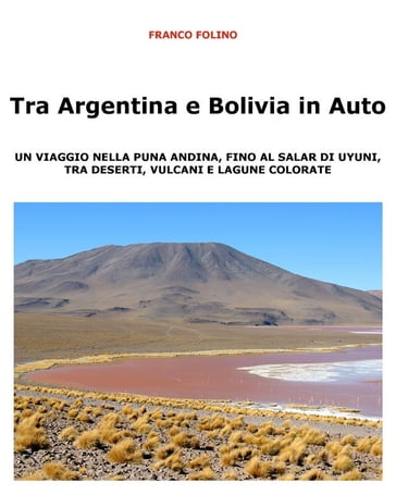 Tra Argentina e Bolivia in Auto Un viaggio nella Puna andina, fino al salar di Uyuni, tra deserti, vulcani e lagune colorate - Franco Folino
