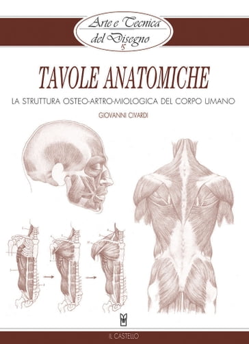 Arte e Tecnica del Disegno - 15 - Tavole anatomiche - Giovanni Civardi