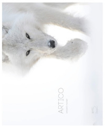 Artico. Ediz. illustrata - Vincent Munier