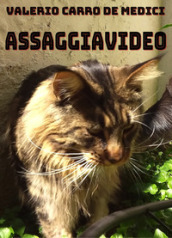 Assaggiavideo