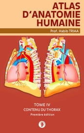 Atlas d anatomie du contenu du thorax