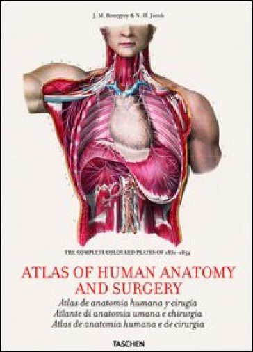 Atlas of human anatomy and surgery. Ediz. italiana, portoghese e spagnola - Jean-Baptiste Bourgery - Nicolas H. Jacob