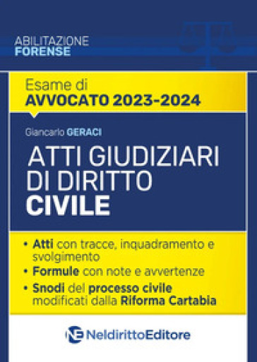 Atti giudiziari di diritto civile. Nuova ediz. - Giancarlo Geraci