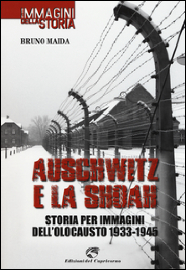 Auschwitz e la Shoah. Storia per immagini dell'olocausto (1933-1945). Ediz. illustrata - Bruno Maida