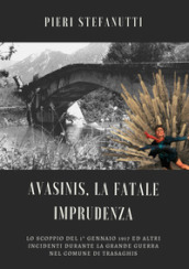 Avasinis, la fatale imprudenza. Lo scoppio del 1° gennaio 1917 ed altri incidenti durante la Grande Guerra nel comune di Trasaghis