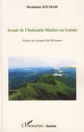 Avenir de l Industrie Minière en Guinée