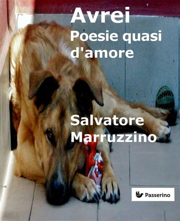 Avrei - Salvatore Marruzzino