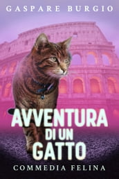 Avventura di un gatto