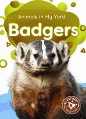 Badgers