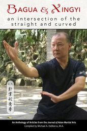 Bagua and Xingyi