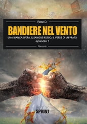 Bandiere nel vento