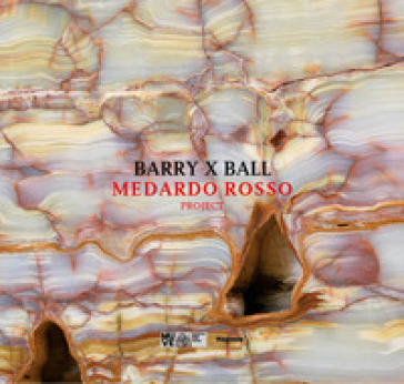 Barry x Ball. Medardo Rosso project. Ediz. italiana e inglese - Elisabetta Barisoni - Francesco Guzzetti - David Raskin