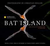 Bat Island