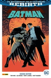 Batman, Band 8 - Eisige Zeiten