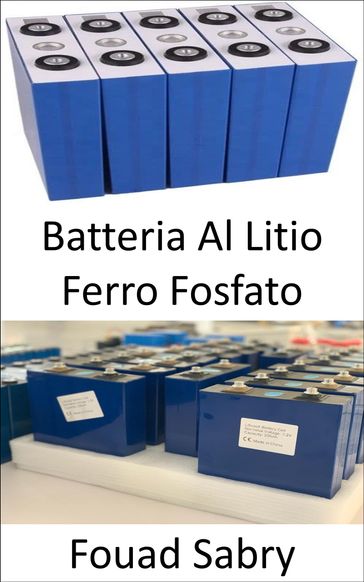 Batteria Al Litio Ferro Fosfato - Fouad Sabry