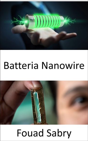 Batteria Nanowire - Fouad Sabry