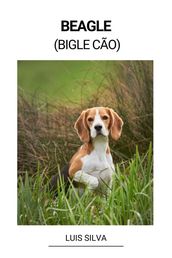 Beagle (Bigle Cão)