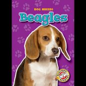 Beagles