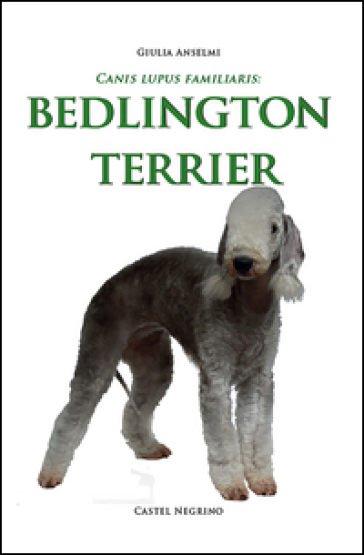 Bedlington Terrier - Giulia Anselmi