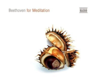 Beethoven for meditation - Ludwig van Beethoven