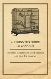 A Beginner s Guide to Canaries - Including Chapters on Food, Rearing and Care for Canaries