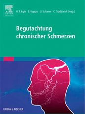 Begutachtung chronischer Schmerzen