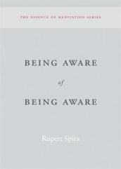 Being Aware of Being Aware