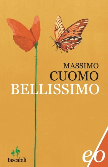 Bellissimo - Massimo Cuomo