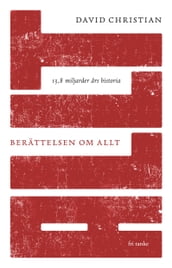 Berättelsen om allt : 13,8 miljarder ars historia