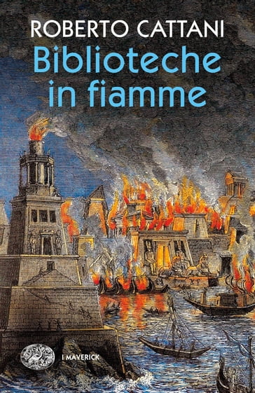 Biblioteche in fiamme - Roberto Cattani