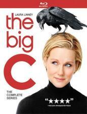 Big C: Complete Series (6 Blu-Ray) [Edizione: Stati Uniti]