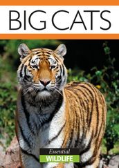 Big Cats