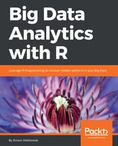 Big Data Analytics with R