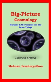 Big Picture Cosmology: Concise Edition