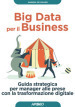 Big data per il business. Guida strategica per manager alle prese con la trasformazione digitale