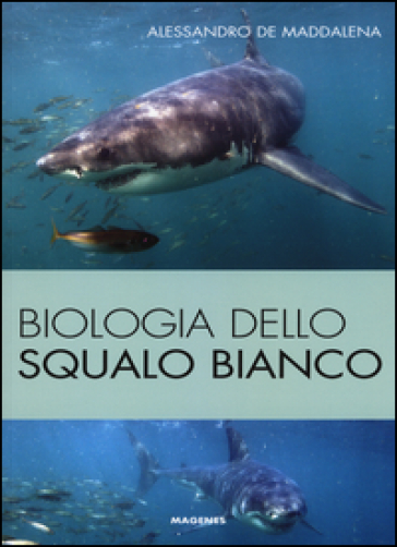 Biologia dello squalo bianco. Ediz. illustrata - Alessandro De Maddalena