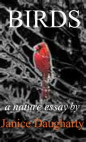 Birds in Migration: a descriptive nature essay