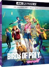 Birds Of Prey E La Fantasmagorica Rinascita Di Harley Quinn (Blu-Ray 4K Ultra HD+Blu-Ray)