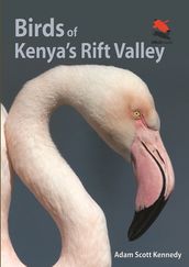 Birds of Kenya s Rift Valley