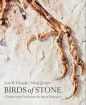 Birds of Stone